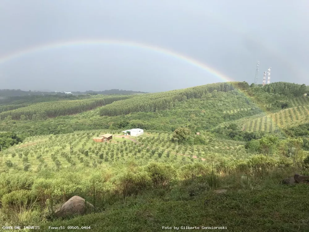 Fazenda à venda com 6 quartos, 493400m² - Foto 1