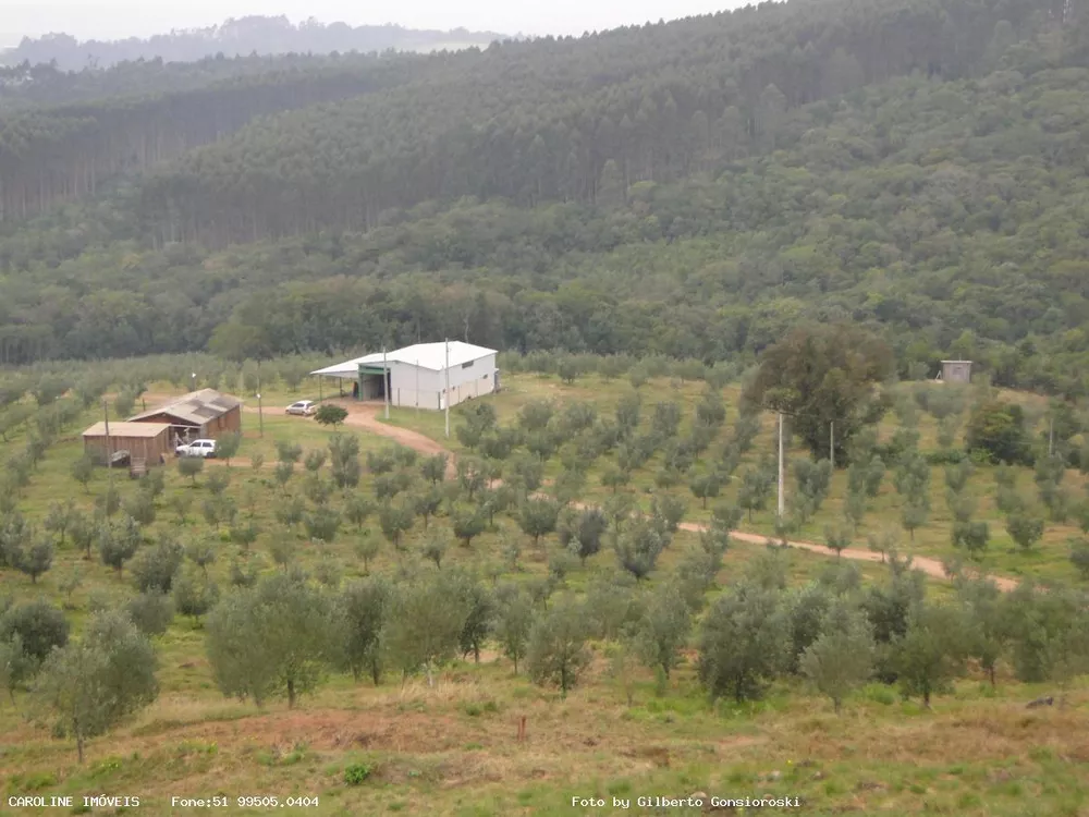 Fazenda à venda com 6 quartos, 493400m² - Foto 7