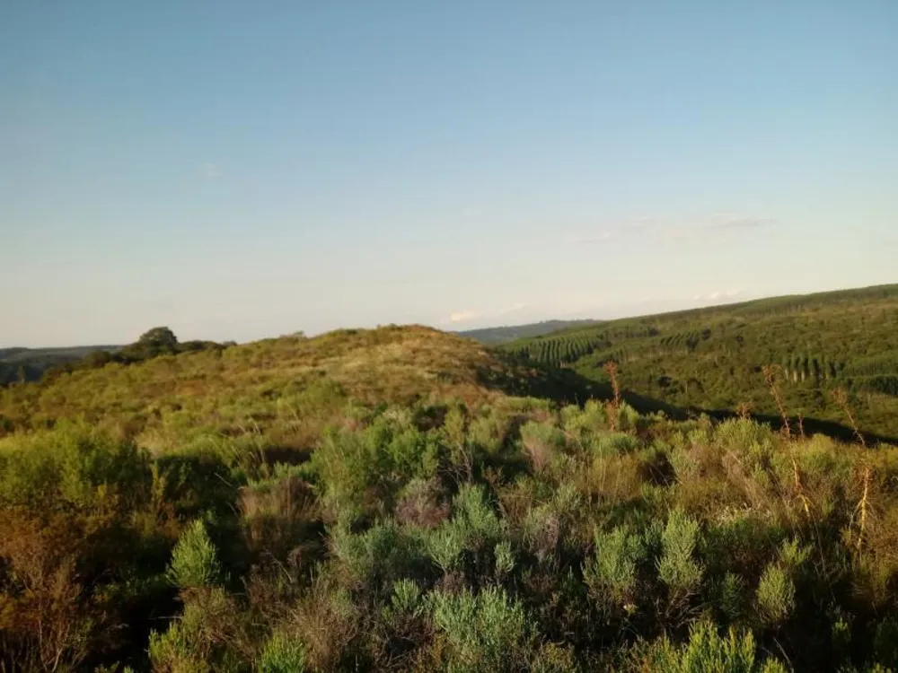 Loteamento e Condomínio, 3 hectares - Foto 6