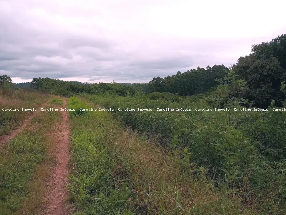 Fazenda à venda, 45000m² - Foto 3