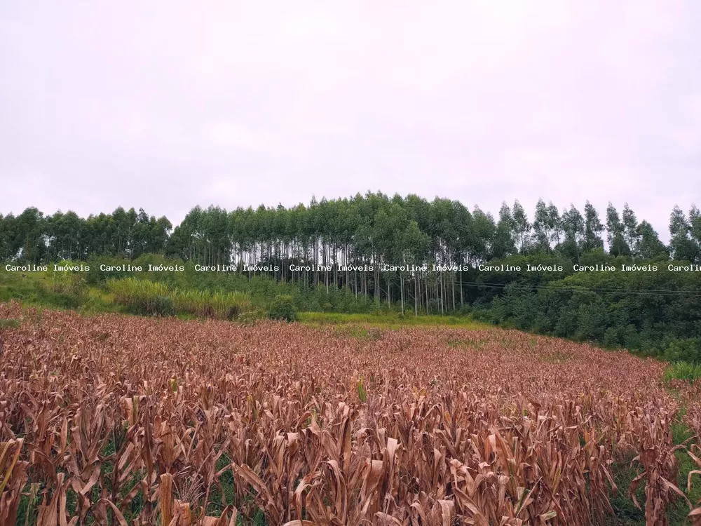 Fazenda à venda, 45000m² - Foto 5