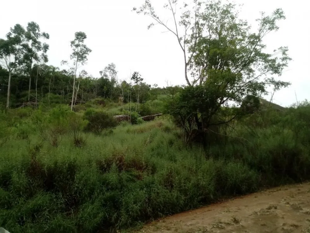 Chácara, 5000 m² - Foto 2