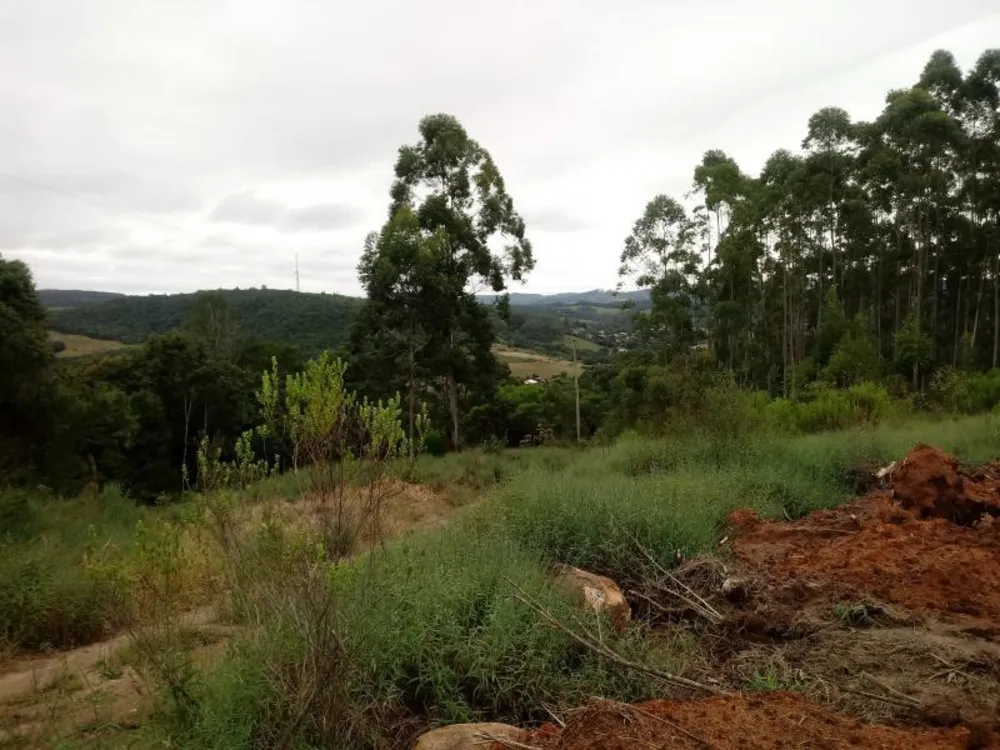 Chácara, 5000 m² - Foto 2