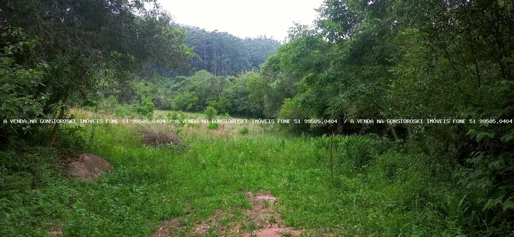 Loteamento e Condomínio à venda, 2500m² - Foto 4