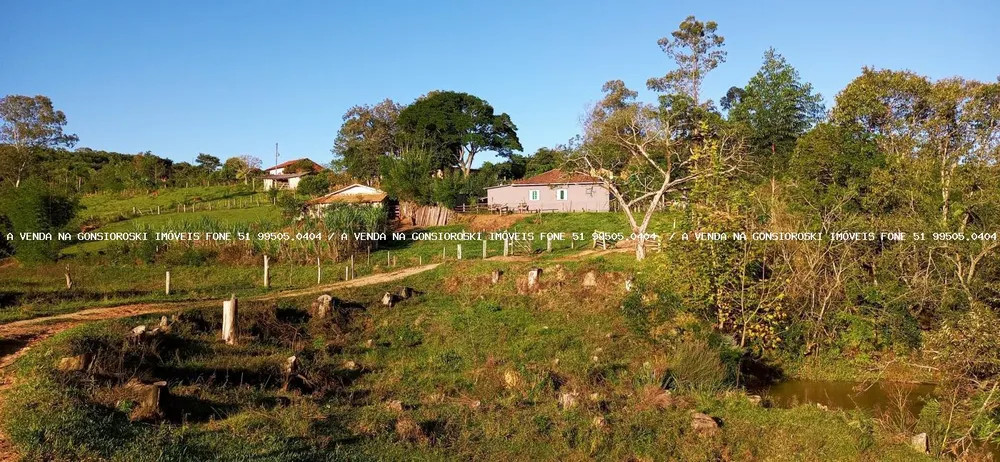 Sítio, 3 quartos, 6 hectares - Foto 1