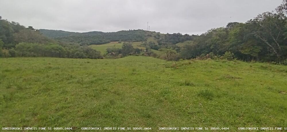 Chácara, 1 quarto, 2 hectares - Foto 8
