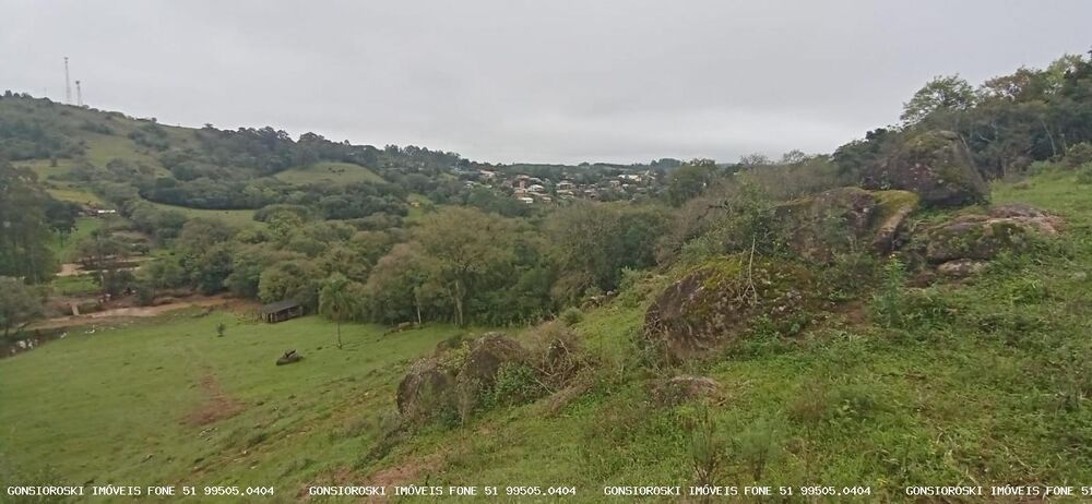 Chácara, 1 quarto, 2 hectares - Foto 3