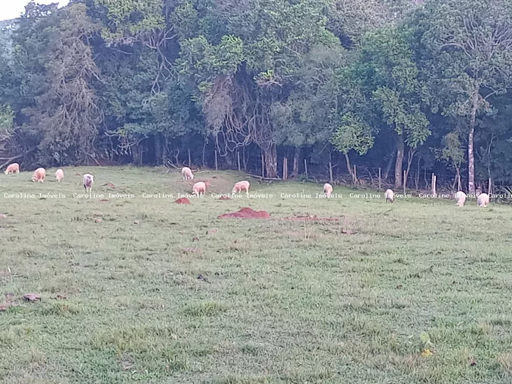 Fazenda à venda, 160000m² - Foto 3