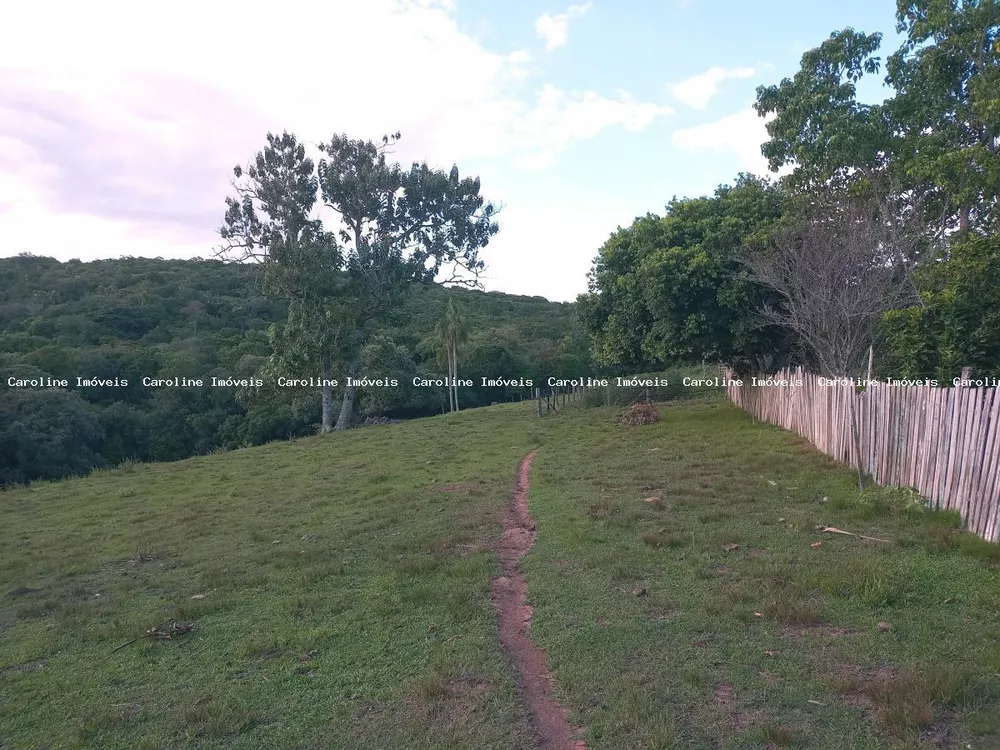 Fazenda à venda, 160000m² - Foto 7