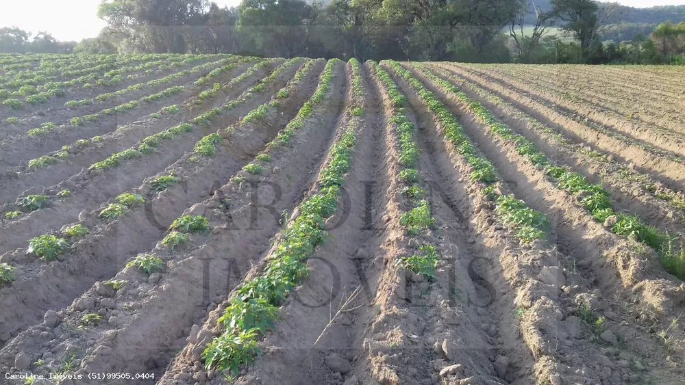 Fazenda à venda, 213000m² - Foto 2