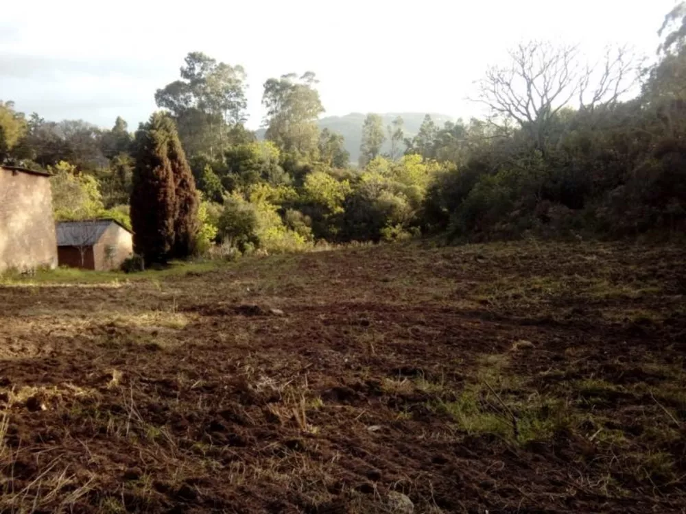 Fazenda à venda com 1 quarto, 30000m² - Foto 4