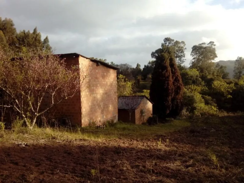 Fazenda à venda com 1 quarto, 30000m² - Foto 6