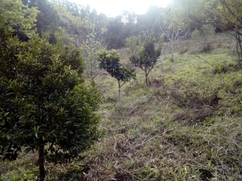 Fazenda à venda com 1 quarto, 30000m² - Foto 10