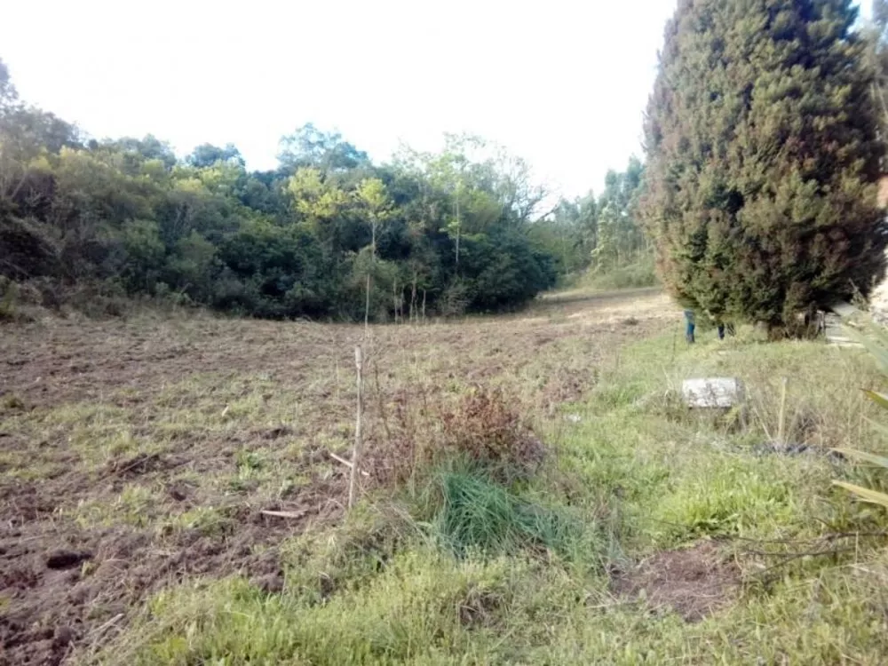 Fazenda à venda com 1 quarto, 30000m² - Foto 11