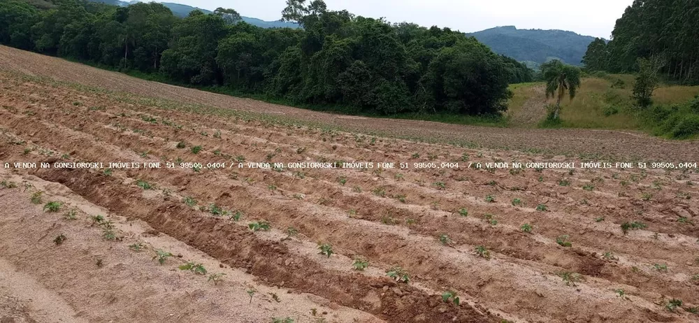 Loteamento e Condomínio à venda, 300000m² - Foto 5