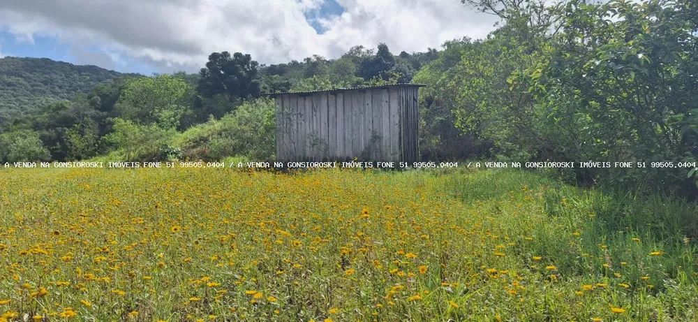 Fazenda à venda, 5397m² - Foto 10