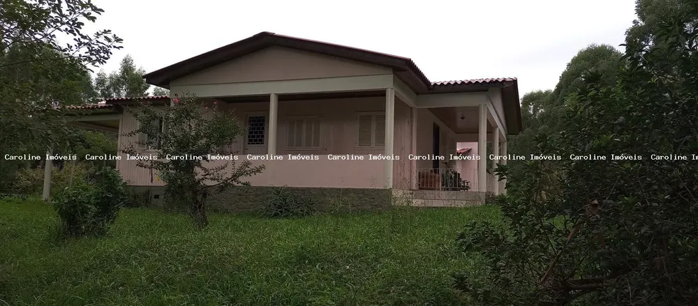 Fazenda, 42 hectares - Foto 4