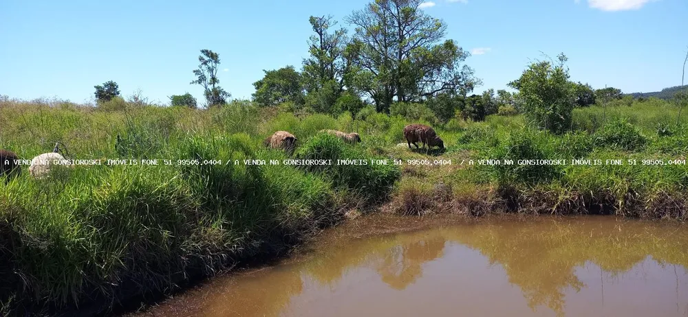 Loteamento e Condomínio, 12 hectares - Foto 8