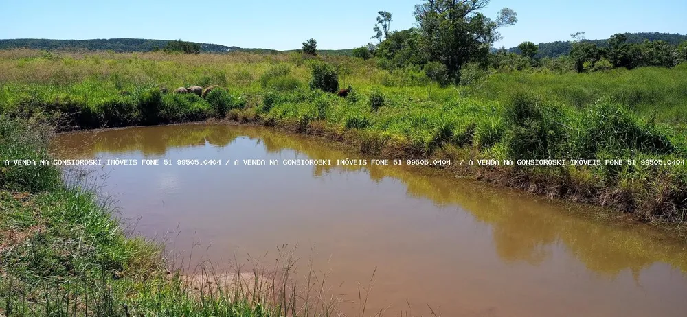 Loteamento e Condomínio, 12 hectares - Foto 3