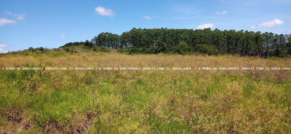 Loteamento e Condomínio, 12 hectares - Foto 3