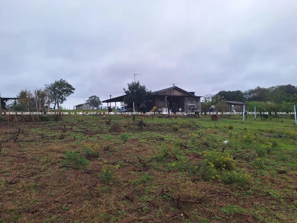 Fazenda à venda com 2 quartos, 10000m² - Foto 5