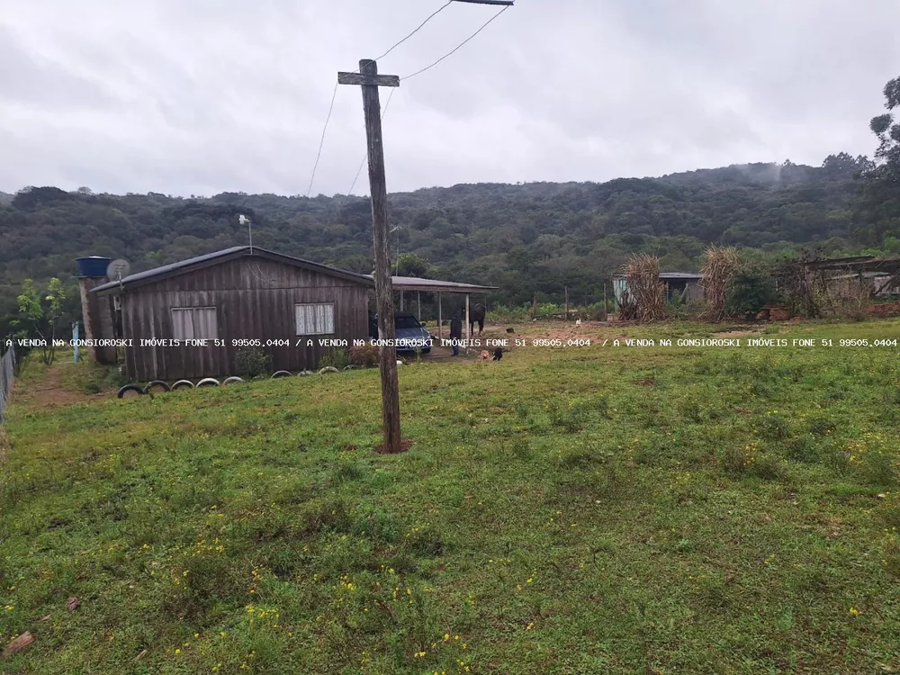 Fazenda à venda com 2 quartos, 10000m² - Foto 1