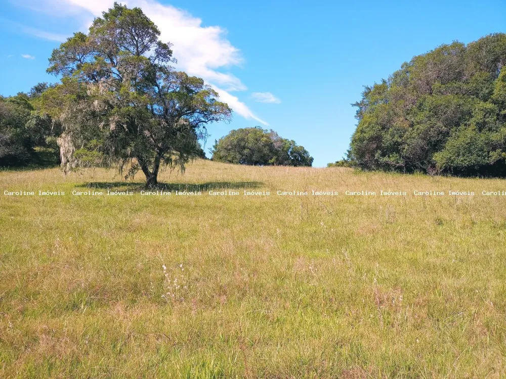 Fazenda, 62 m² - Foto 4