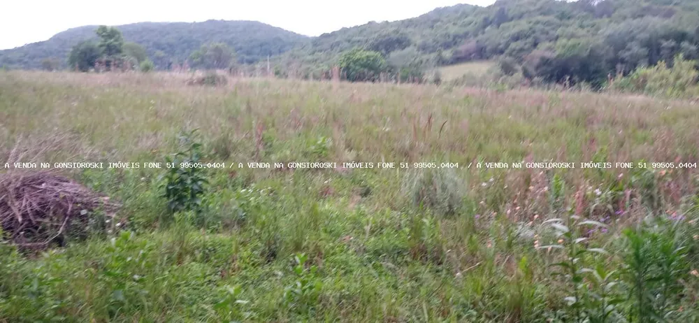 Loteamento e Condomínio, 5000 m² - Foto 1