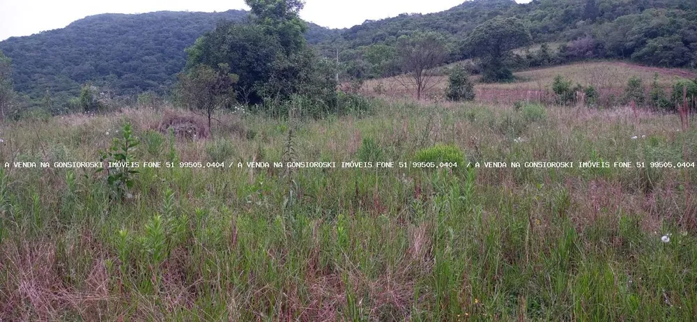 Loteamento e Condomínio, 5000 m² - Foto 3