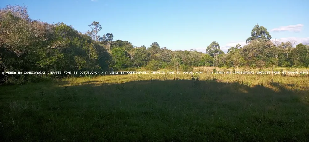 Loteamento e Condomínio, 10000 m² - Foto 2
