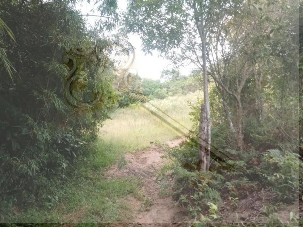 Loteamento e Condomínio, 13 hectares - Foto 3