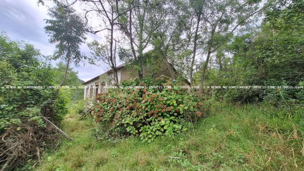 Sítio, 20 m² - Foto 2