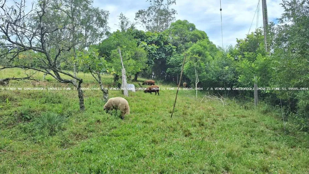 Chácara, 20 m² - Foto 6
