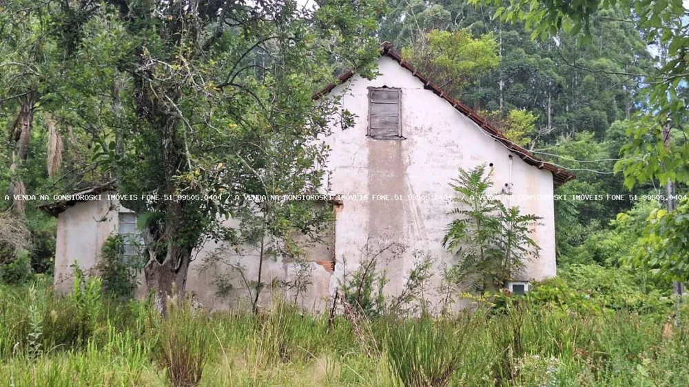 Sítio, 20 m² - Foto 3