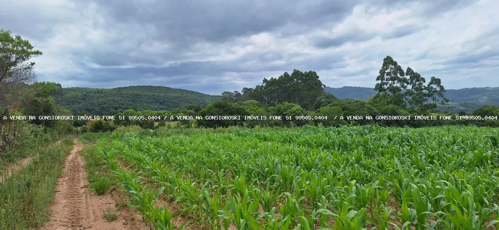 Loteamento e Condomínio, 13 hectares - Foto 3