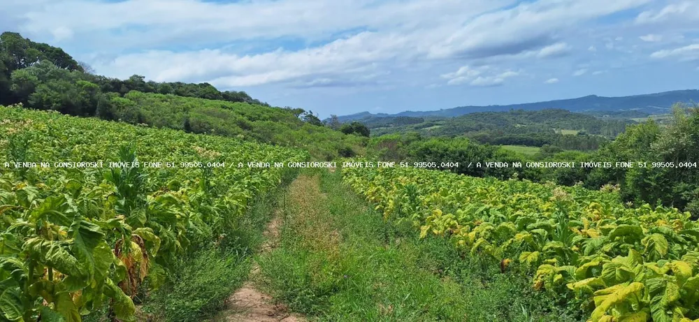 Loteamento e Condomínio, 13 hectares - Foto 7