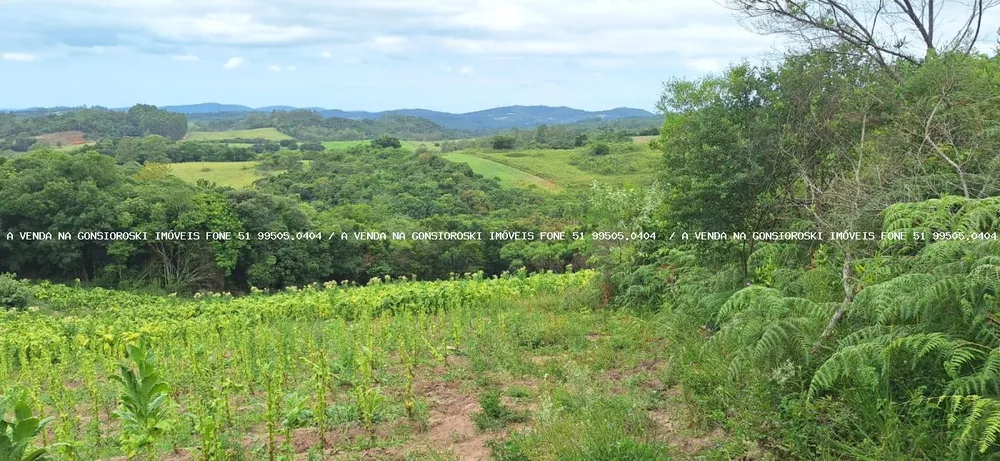 Loteamento e Condomínio, 13 hectares - Foto 1