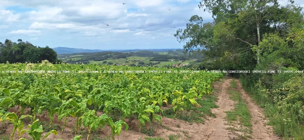 Loteamento e Condomínio, 13 hectares - Foto 4