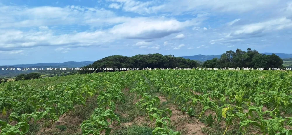 Loteamento e Condomínio, 13 hectares - Foto 8