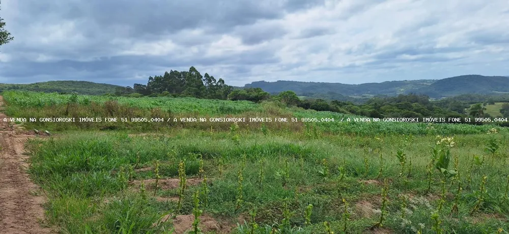 Loteamento e Condomínio, 13 hectares - Foto 2