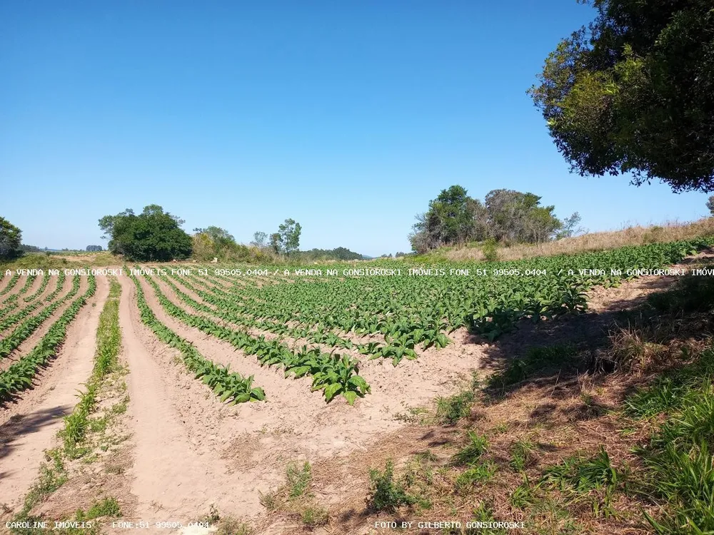 Loteamento e Condomínio, 2 hectares - Foto 1