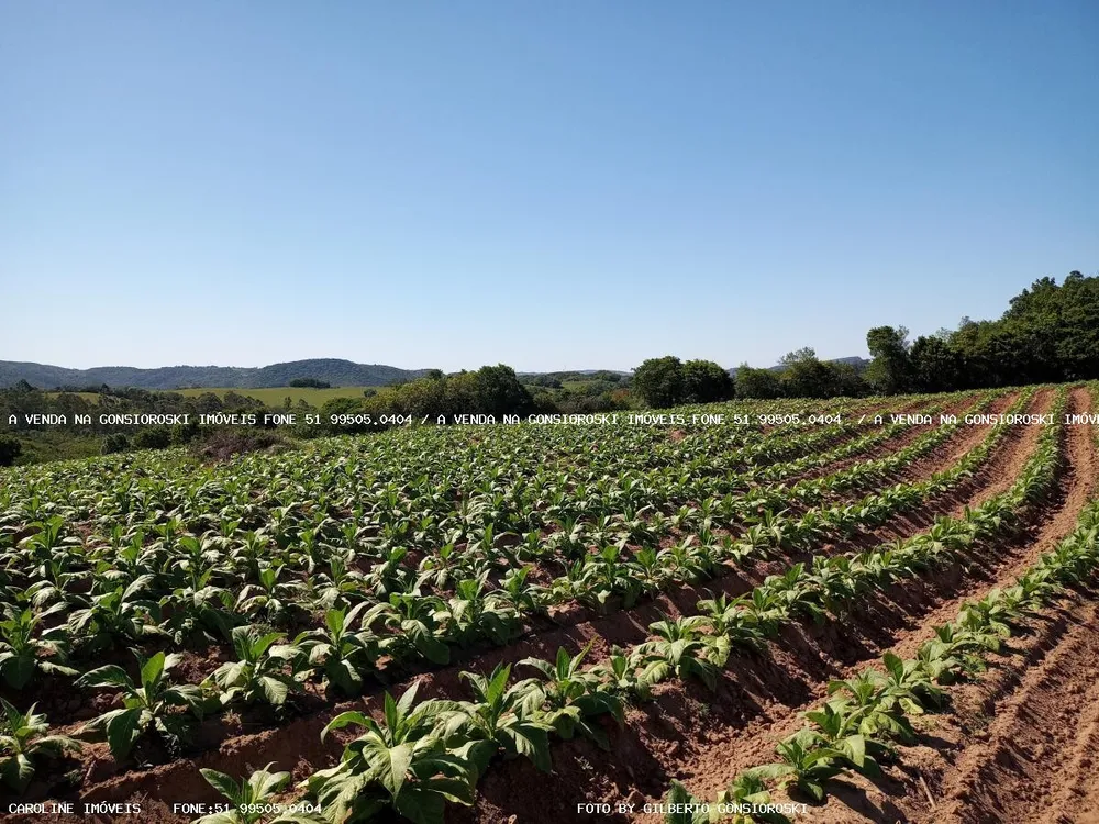 Loteamento e Condomínio, 2 hectares - Foto 1