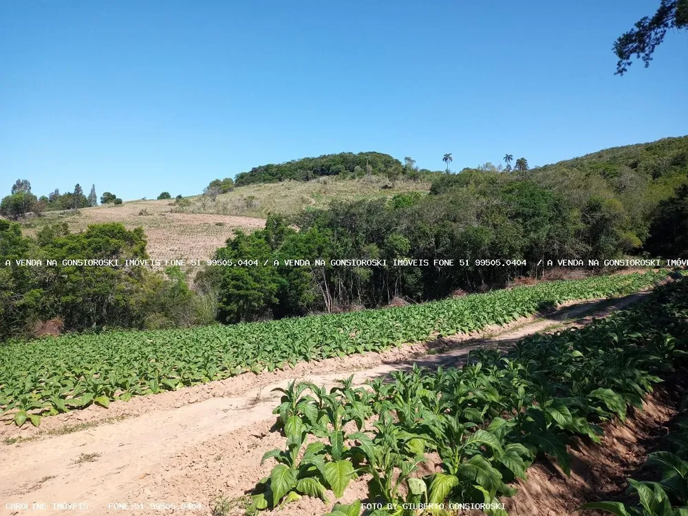 Loteamento e Condomínio, 2 hectares - Foto 4
