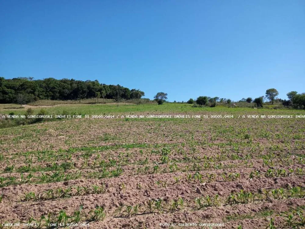 Loteamento e Condomínio, 2 hectares - Foto 2