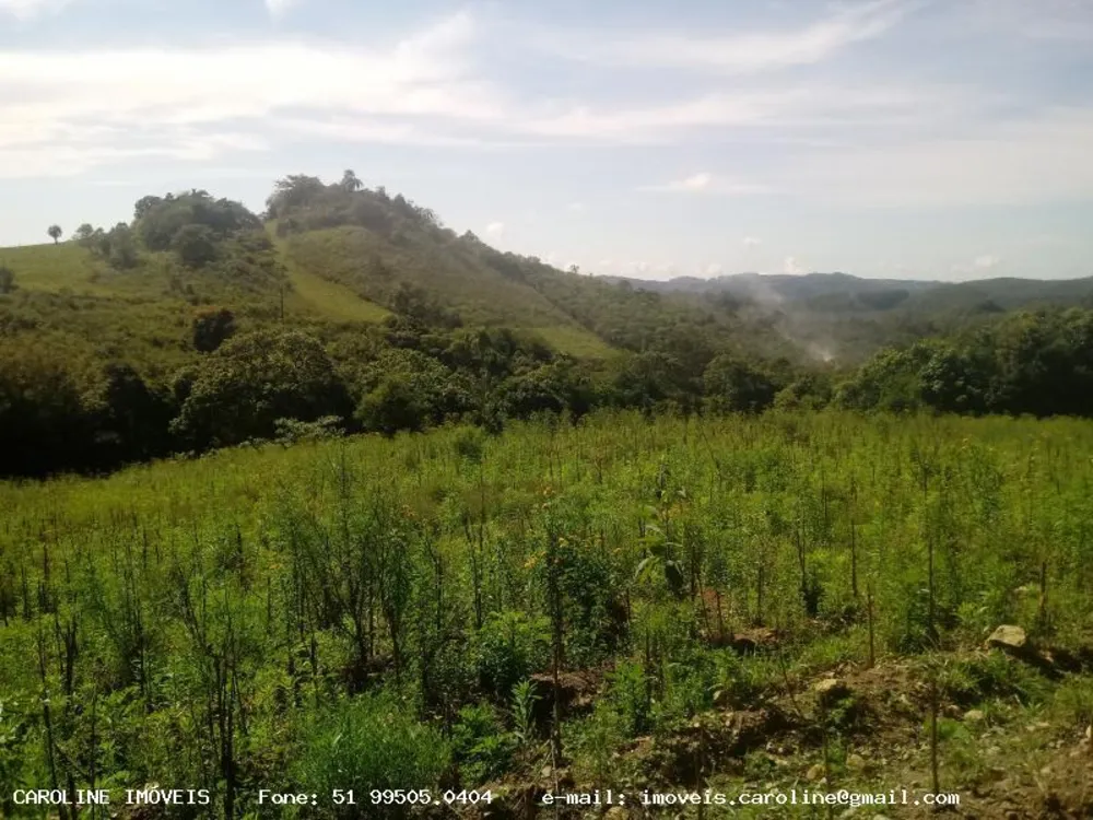 Loteamento e Condomínio, 9 hectares - Foto 1