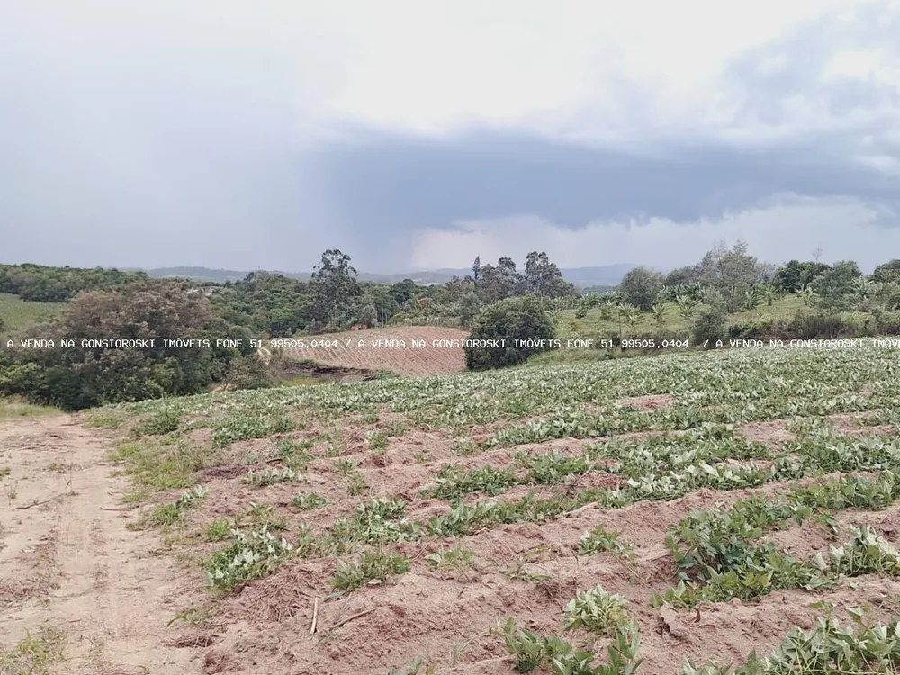 Loteamento e Condomínio, 3 hectares - Foto 2