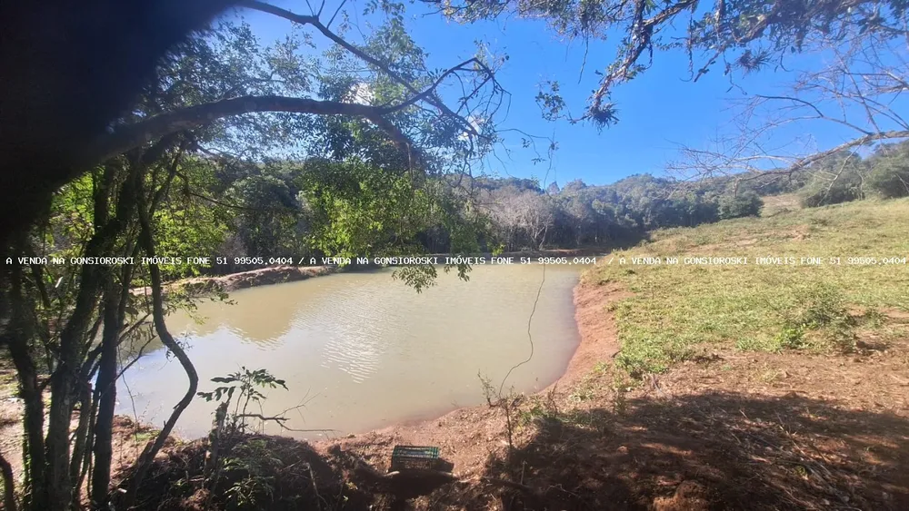 Sítio, 4 quartos, 5 hectares - Foto 1