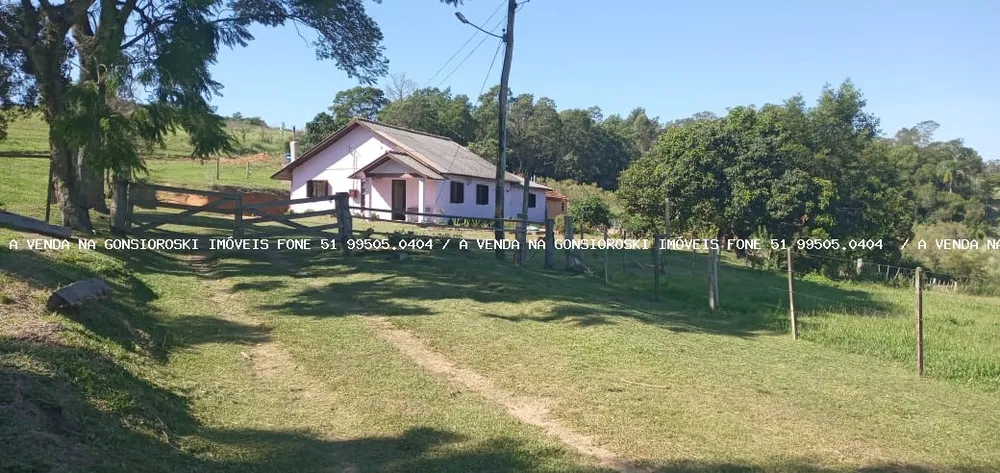 Sítio, 4 quartos, 5 hectares - Foto 1