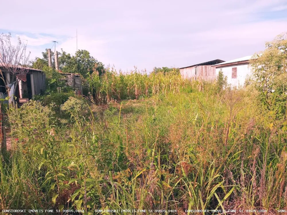 Terreno, 540 m² - Foto 2