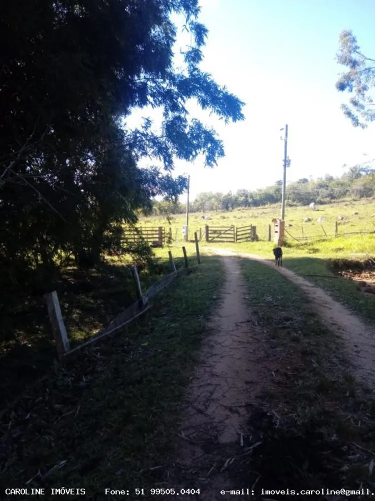 Sítio, 2 quartos, 18 hectares - Foto 12